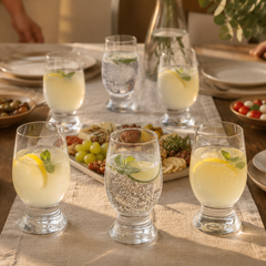 Hi Luxe Benton 6 Glasses | Premium Bohemia Crystal Drinking Glass | Elegant Beverage Glass